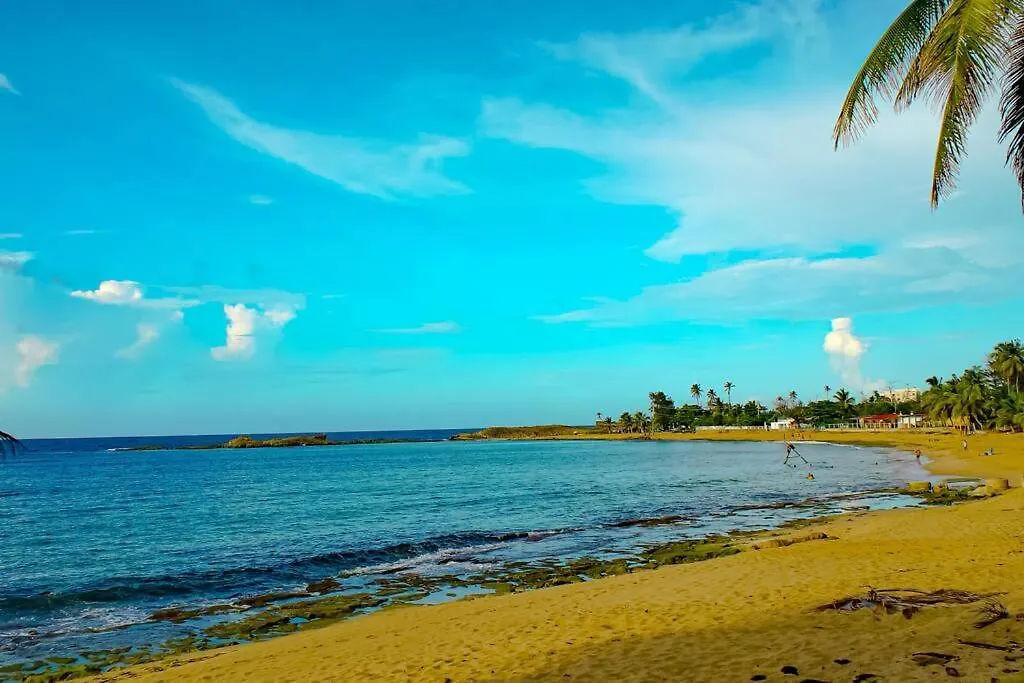Sea View Wonder - Playa Jobos 2 Apartment Isabela 0*,