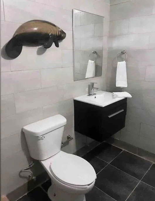 Apartament Sea View Wonder - Playa Jobos 2 Isabela 0*,