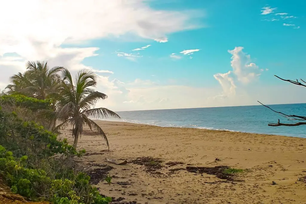 Apartament Sea View Wonder - Playa Jobos 2 Isabela