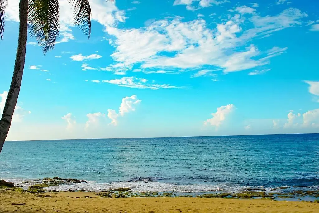 Apartament Sea View Wonder - Playa Jobos 2 Isabela Portoryko